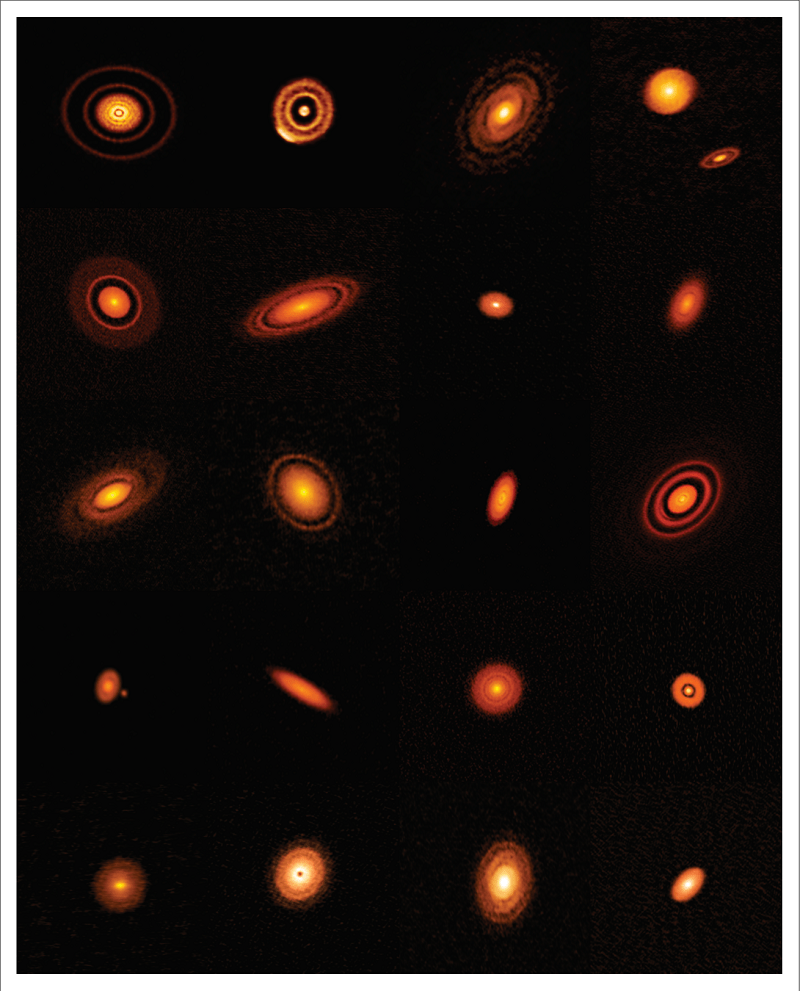 هذه صور لأقراص كواكب أولية قريبة.  يوجد في وسط كل نجم نجم صغير ، والفجوات الموجودة في الأقراص ناتجة عن تكوين الكواكب الخارجية.  الائتمان: ALMA (ESO / NAOJ / NRAO) ، S. Andrews et al. ؛  NRAO / AUI / NSF، S. Dagnello