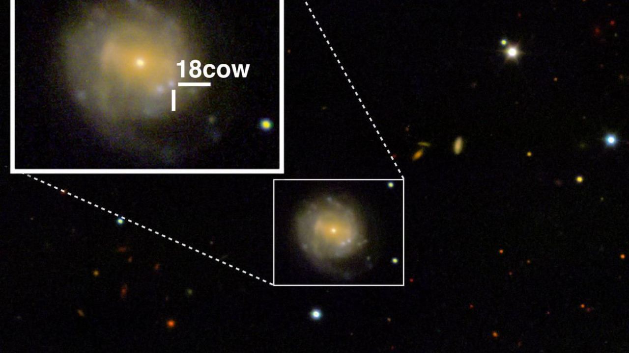 Astronomers See the Exact Moment a Supernova Turned into a Black Hole (or  Neutron Star) - Universe Today