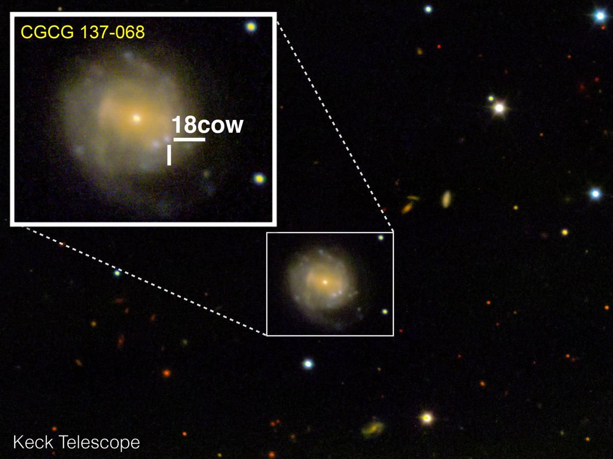 A look at The Cow (approximately 80 days after explosion) from the W.M. Keck Observatory in Maunakea, Hawaii. The Cow is nestled in the CGCG 137-068 galaxy, 200 million light years from Earth. Image Credit:Raffaella Margutti/Northwestern University