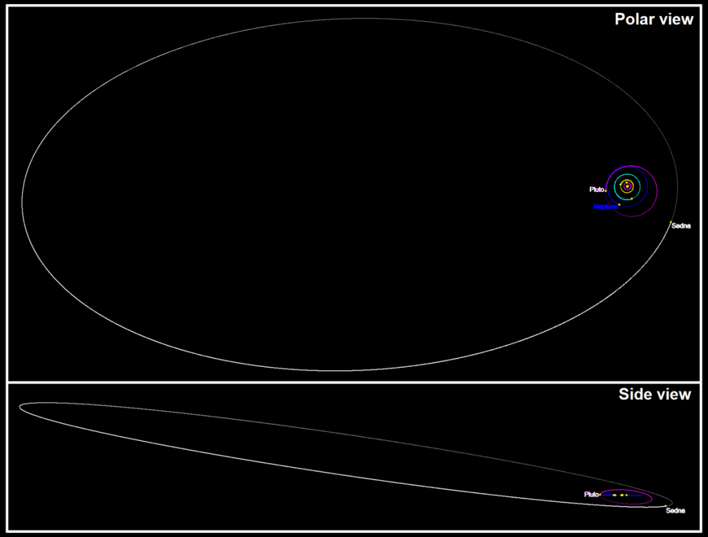 The orbit of Sedna set against the orbits of outer Solar System objects (top and side views, Pluto's orbit is purple, Neptune's is blue). Image Credit: By Tomruen - Own work, CC BY-SA 4.0, https://commons.wikimedia.org/w/index.php?curid=60453344
