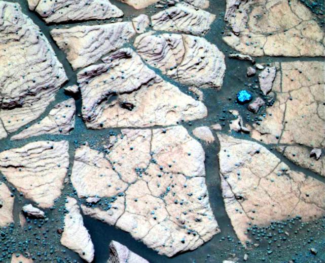 A false-color image taken by Opportunity. The blue spheres are called "blueberries" and are made of the mineral hematite, which forms in the presence of water. Image Credit: 
NASA/JPL-Caltech/Cornell