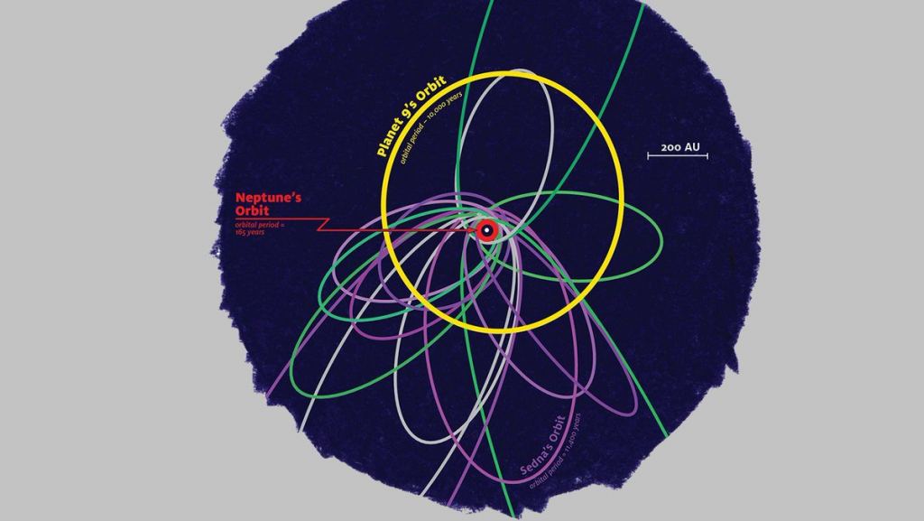 This illustration depicts orbits of distant Kuiper Belt objects and Planet Nine. Orbits rendered in purple are primarily controlled by Planet Nine's gravity and exhibit tight orbital clustering. Green orbits, on the other hand, are strongly coupled to Neptune, and exhibit a broader orbital dispersion. Image Credit:  
James Tuttle Keane/Caltech