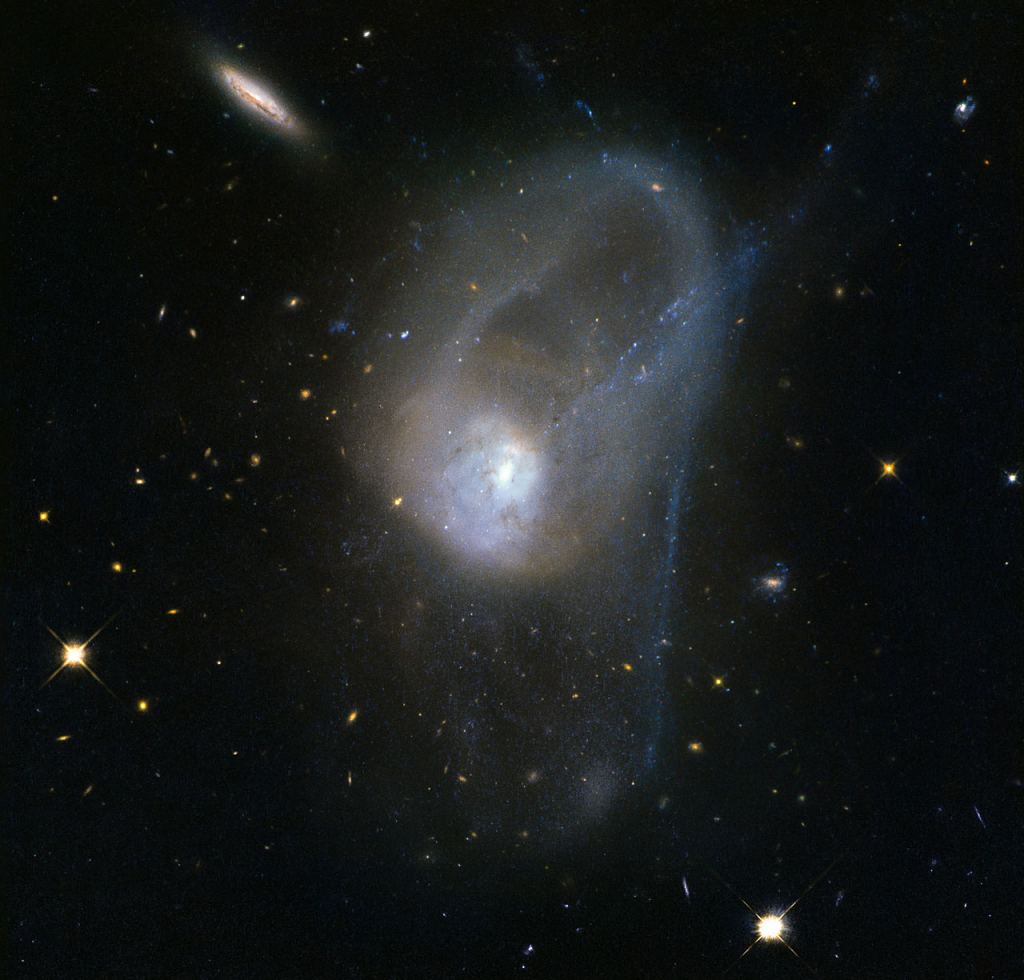 There aren't many merging galaxies close enough to study in detail, but NGC 3921 is one of them. It's only 270 million light years away. Image Credit: By ESA/Hubble, CC BY 4.0, https://commons.wikimedia.org/w/index.php?curid=43262132