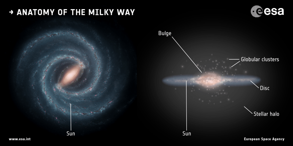 The structure of the Milky Way.  Globular clusters are present in the halo.  Image credit: ESA