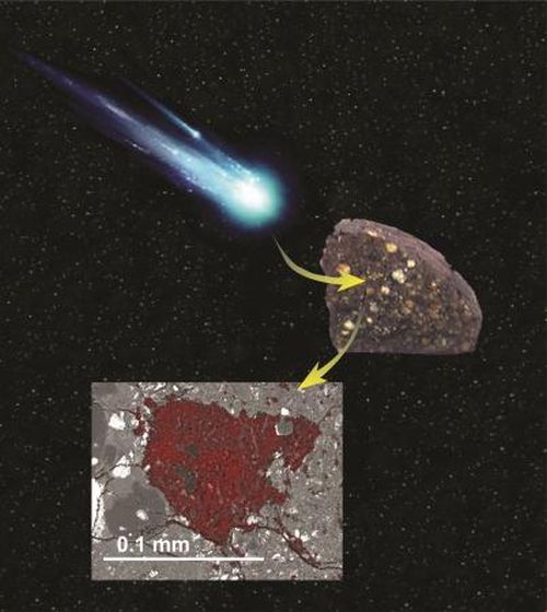 An illustration showing how a sliver of cometary building block material was swallowed by an asteroid and preserved inside a meteorite, where it was discovered by a Carnegie-led team of scientists. Image is courtesy of Larry Nittler and NASA.