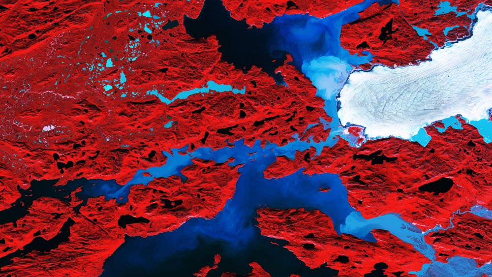 A false-color image of the Nordenskiold Glacier in Greenland from 2017. Greenland is home to the second largest ice sheet after Antarctica. Between 2011 and 2014, Greenland lost about 1 trillion tonnes of ice. Image Credit: 
contains modified Copernicus Sentinel data (2017), processed by ESA,  CC BY-SA 3.0 IGO