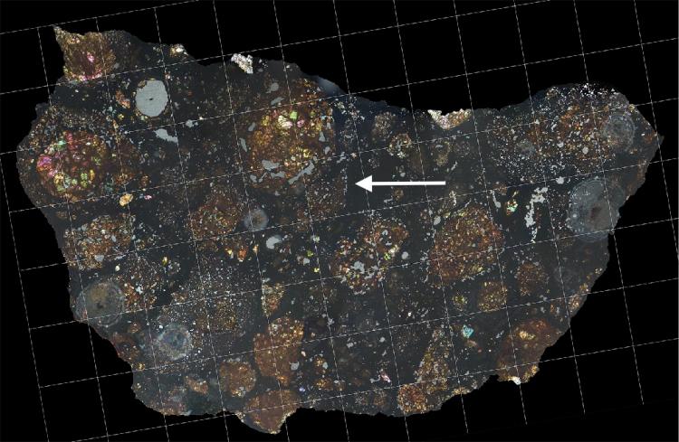 A slice of the LaPaz 02342 meteorite with the white arrow showing the carbon-rich fragment that came from an ancient comet. Image Credit: 
Carles Moyano-Cambero