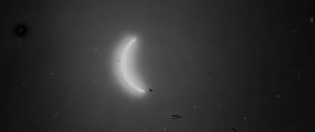 In this image from the film, the Sun is reappearing. Image Credit: BFI/RAS.