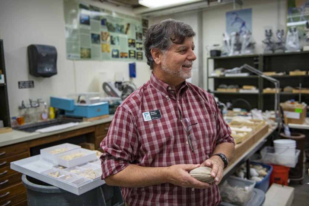Roger Portell, co-author and paleontologist at the Florida Museum of Natural History. Image: Kristen Grace/Florida Museum of Natural History.