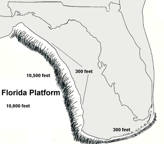 The Florida Platform is a flat geological feature out of which Florida emerges. Image Credit: By Noles1984 - Own work, Public Domain, https://commons.wikimedia.org/w/index.php?curid=8350791