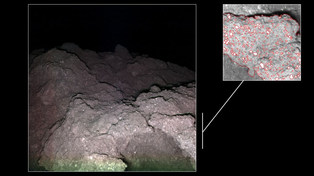 The MASCam team behind the MASCOT rover's camera identified two types of rock on Ryugu: Type 1 are dark, irregularly-shaped boulders with crumpled, cauliflower-like surfaces. Type 2 are slightly brighter, with sharp edges, and smooth, fractured surfaces. Image Credit: MASCOT/DLR/JAXA