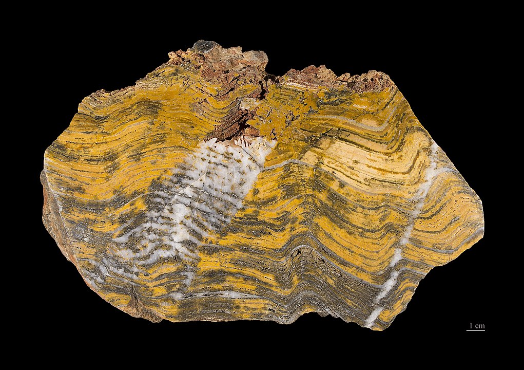 A stromatolite from the Pilbara Craton in Australia, a section of Earth's lithosphere that dates from the Archaean, between 3.6–2.7 billion years ago. Image Credit: By Didier Descouens - Own work, CC BY-SA 4.0, https://commons.wikimedia.org/w/index.php?curid=15944367