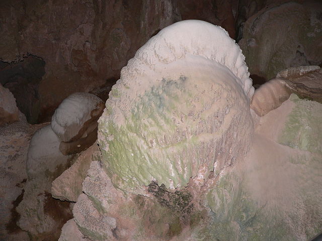 A 'crayback' stromatolite in a cave in New South Wales, Australia. Image Credit: By PaAt-56 at English Wikipedia, CC BY-SA 3.0, https://commons.wikimedia.org/w/index.php?curid=38716653