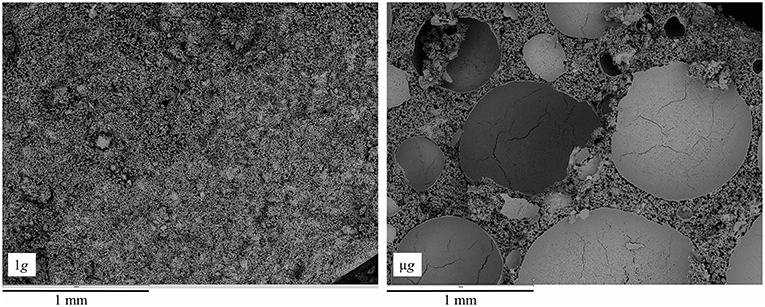 On the left is C3S paste, a type of cement, mixed at 1G, and on the right is the same paste mixed in microgravity. Both are 56 days old. The large round structures on the right are trapped air bubbles. The microgravity sample on the right also has greater microporosity. Image Credit: Neves et. al., 2019.