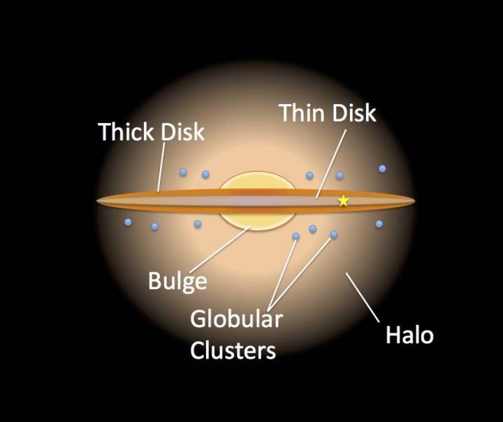 An artist's impression of the Milky Way shows the thick and thin discs. Thin disk stars are younger and have higher metallicity than the older, metal-poor stars in the thick disk. Credit: NASA/JPL Caltech/R.Hurt/SSC