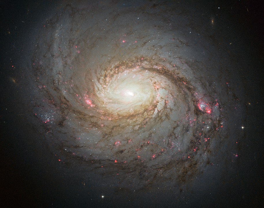 another seyfert galaxy
