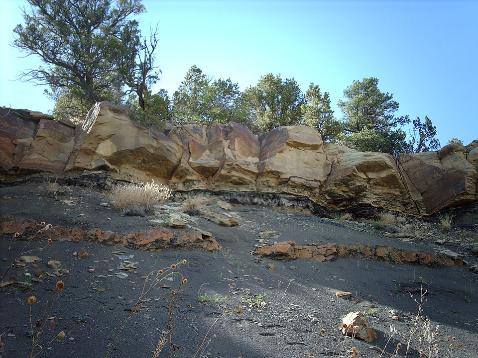  The K–Pg boundary exposure in Trinidad Lake State Park, in the Raton Basin of Colorado, USA, shows an abrupt change from dark- to light-colored rock. Image Credit: By Nationalparks - Own work, CC BY-SA 2.5, https://commons.wikimedia.org/w/index.php?curid=19017497
