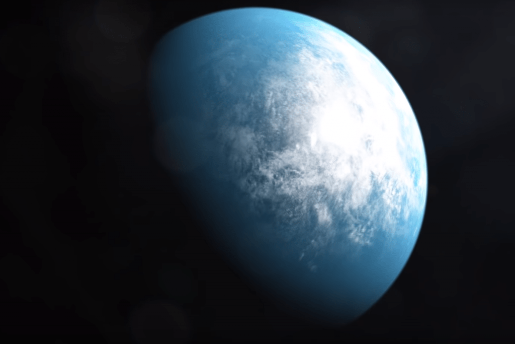 An artist's illustration of TOI 700d, an Earth-size exoplanet that TESS found in its star's habitable zone. Image Credit: NASA