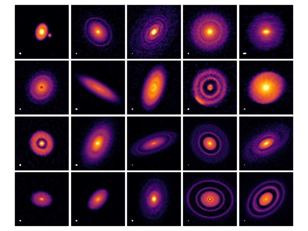 DSHARP is surveying 20 bright, nearby, large protoplanetary disks. Image Credit: DSHARP