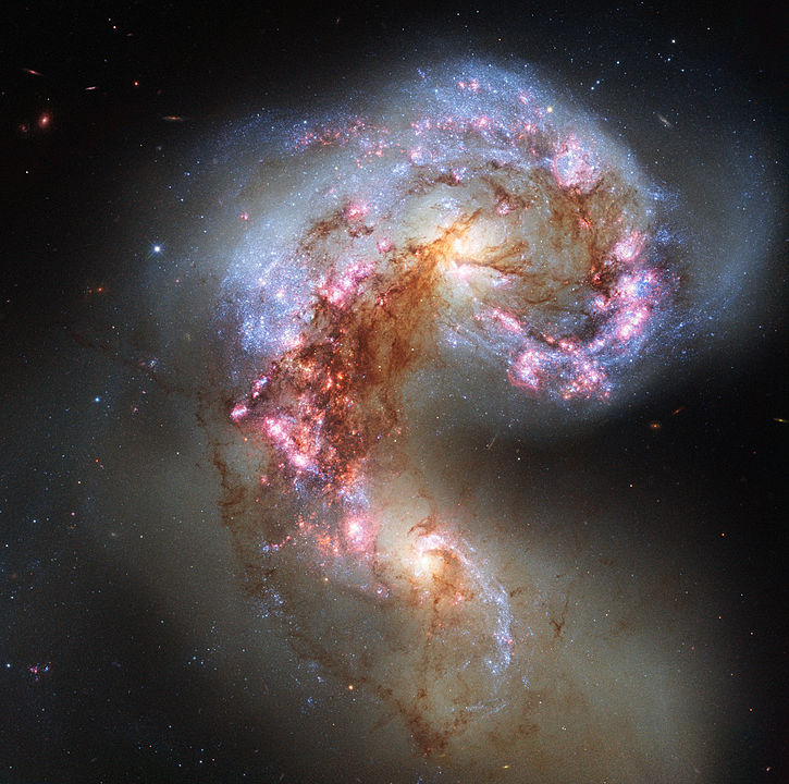 This is a Hubble Telescope image of the Antennae Galaxies, a pair of interacting galaxies that have been messing with each other for a few hundred million years. Those interactions are shaping both galaxies. Clouds of gas are pink and red, while regions of star-birth are blue.  Image Credit: By ESA/Hubble, CC BY 4.0, https://commons.wikimedia.org/w/index.php?curid=29570547