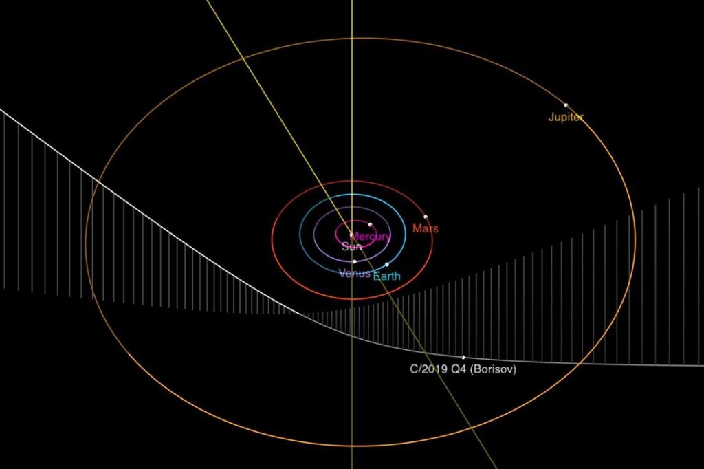 Comet Borisov's trajectory through our Solar System. Image Credit: NASA/JPL-Caltech  
