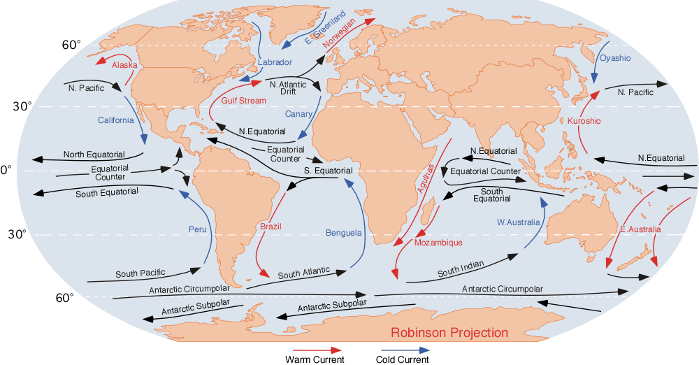 This image shows the modern Earth's ocean currents. All those currents combine to create thermohaline circulation, also called the ocean conveyor belt. That belt, along with winds, drives Earth's nutrient cycle. Image by Dr. Michael Pidwirny (see http://www.physicalgeography.net) - http://blue.utb.edu/paullgj/geog3333/lectures/physgeog.html, [http://skyblue.utb.edu/paullgj/geog3333/lectures/oceancurrents-1.giforiginal image], Public Domain, https://commons.wikimedia.org/w/index.php?curid=37108971