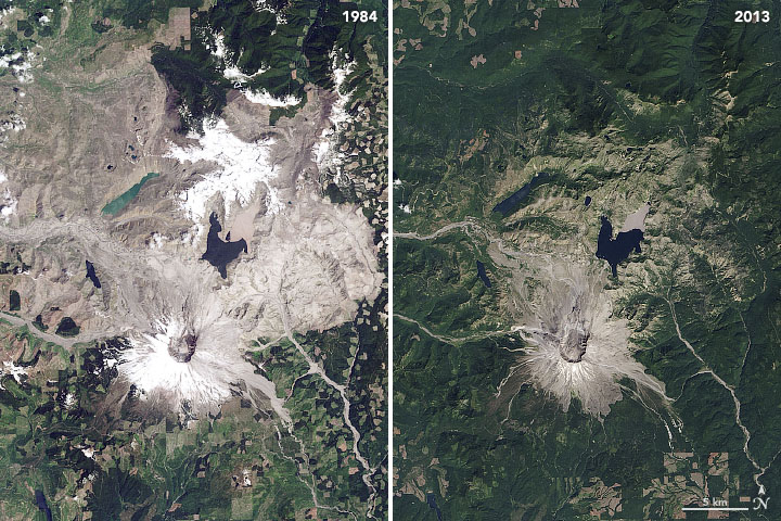 A satellite image from 1984, and one from 2013. It's easy to see how much plant life has returned to the area, but not everywhere. Image Credit: NASA Earth Observatory images by Joshua Stevens, Robert Simmon, and Jesse Allen, using Landsat data from the U.S. Geological Survey.