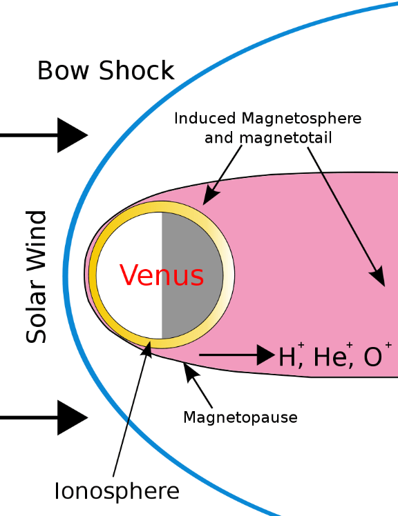 Venus has an induced magnetic field like Mars, though our knowledge of it isn't as detailed as our knowledge of Mars. The authors of this study say it's likely that they're similar, at least in broad terms. Image Credit: By Venusian_magnetosphere.jpg: Ruslik0derivative work: Alexparent (talk) - Venusian_magnetosphere.jpg, CC BY-SA 3.0, https://commons.wikimedia.org/w/index.php?curid=6435191