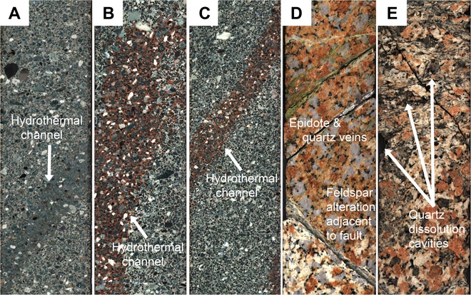 The sawn, exposed surfaces of samples from the hydrothermal system showing hydrothermal samples, dissolution cavities, and other features. Image Credit: Kring et al, 2020. 
