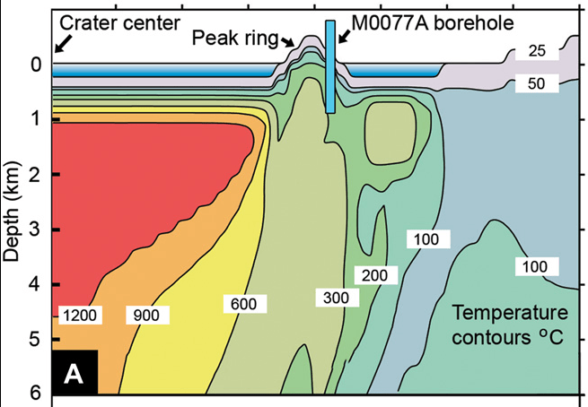 Previous research into Chicxulub allowed scientists to develop a hydrothermal evolution model. This new study tested that model with a borehole into the peak ring ~40 km from the crater center. Thermal contours of 25°, 50°, 100°, 200°, 300°, 600°, 900°, and 1200°C illustrate the location of the central melt pool (left side of diagram) and the thermal effect beneath the peak ring (middle of diagram). Temperature decreases with distance but is still ~300°C at the point corresponding to the base of the Expedition 364 borehole. This image represents the hydrothermal system 4000 years after the impact. Image Credit: Kring et al, 2020.