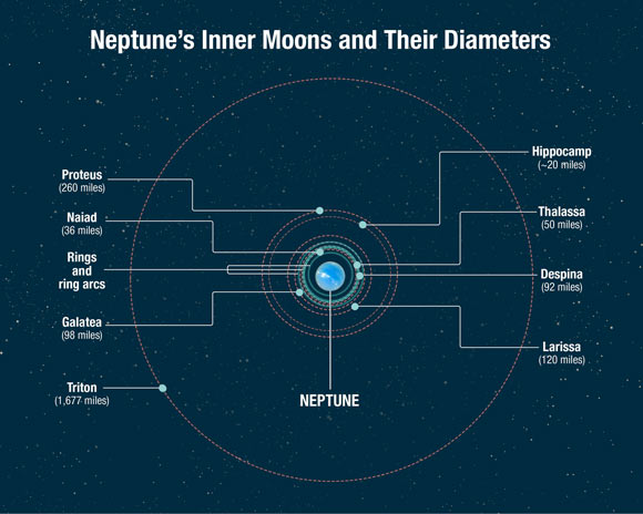 Triton is by far the largest of Neptune's moons. It's in a counter-rotation with neptune, and is most likely a captured Kuiper Belt Object, rather than an in-situ moon. Neptune's outer moon Neried is on a highly elliptical orbit and is not shown. Image Credit: NASA / ESA / A. Feild, STScI