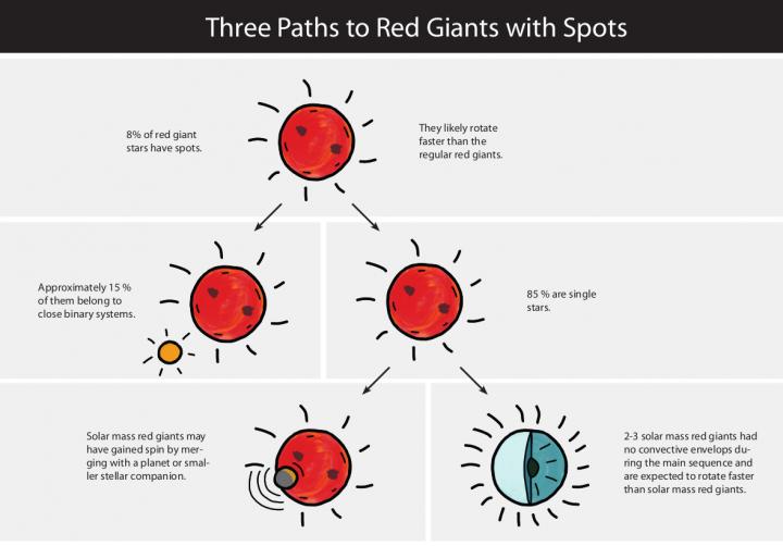 The study found that there are three different paths Red Giants can follow to produce starspots. Image Credit: MPS / hormesdesign.de