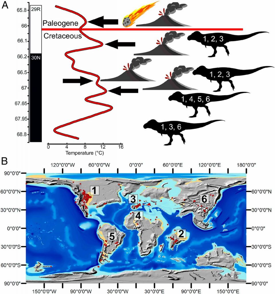 This figure from the study links the geological and the paleontological records of the K-Pg extinction. Deccan volcanoes happened both prior to and after the Chicxulub impact. Fossil remains of non-avian dinosaurs (body fossils, egg fragments, and nesting sites) occur throughout the whole stratigraphic record of prolonged volcanism episodes, and are represented by dinosaur silhouettes. The numbers represent fossil deposits, and are cross-referenced with the lower figure. It shows that dinosaurs survived the Deccan Trap volcanic activity, but not the impact event. Image Credit: Chiarenza et al, 2020.
