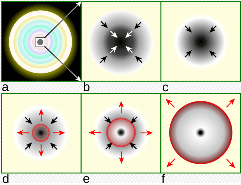 A core collapse supernova. Within a massive, evolved star (a) the onion-layered shells of elements undergo fusion, forming an iron core (b) that reaches Chandrasekhar-mass and starts to collapse. The inner part of the core is compressed into neutrons (c), causing infalling material to bounce (d) and form an outward-propagating shock front (red). The shock starts to stall (e), but it is re-invigorated by a process that may include neutrino interaction. The surrounding material is blasted away (f), leaving only a degenerate remnant. Astrophysicists have some big unanswered questions areound what role neutrinos actually play. Image Credit: By Illustration by R.J. Hall. Redrawn in Inkscape by Magasjukur2 - File:Core collapse scenario.png, CC BY-SA 3.0, https://commons.wikimedia.org/w/index.php?curid=12779311