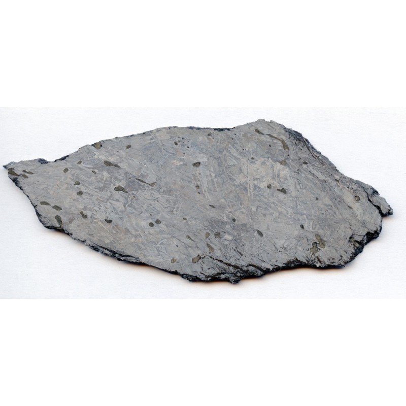 The Mont Dieu meteorite, found in the forest of Ardennes, France, is one of the IIE iron meteorites. Image Credit: Meteorites.tv