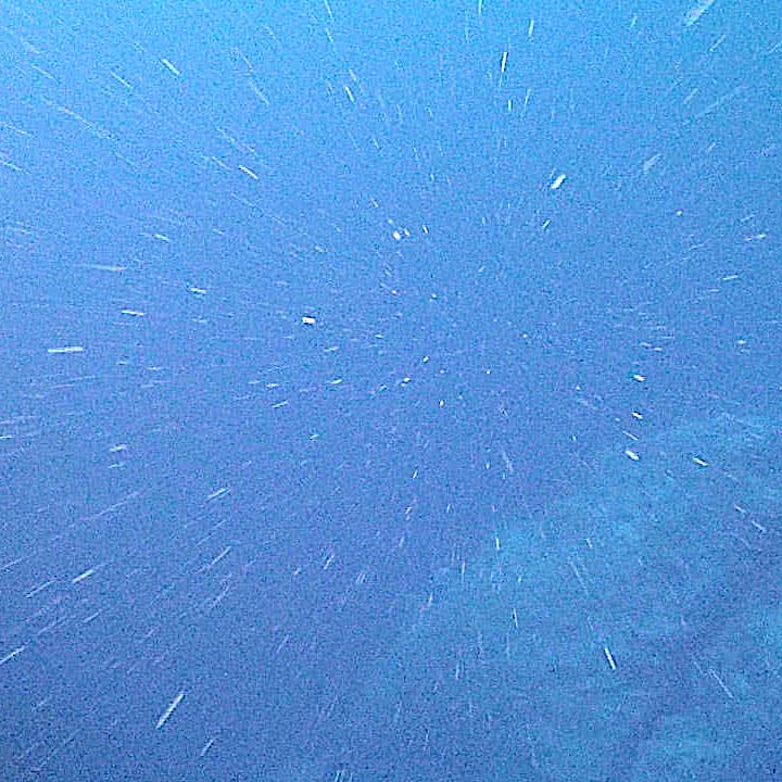 Marine snow is the shower of organic material that falls from the sunlit surface regions of the ocean down to the dark depths. Image Credit: By NOAA National Ocean Service - Extracted from this Commons image(see [1]), Public Domain, https://commons.wikimedia.org/w/index.php?curid=86227762
