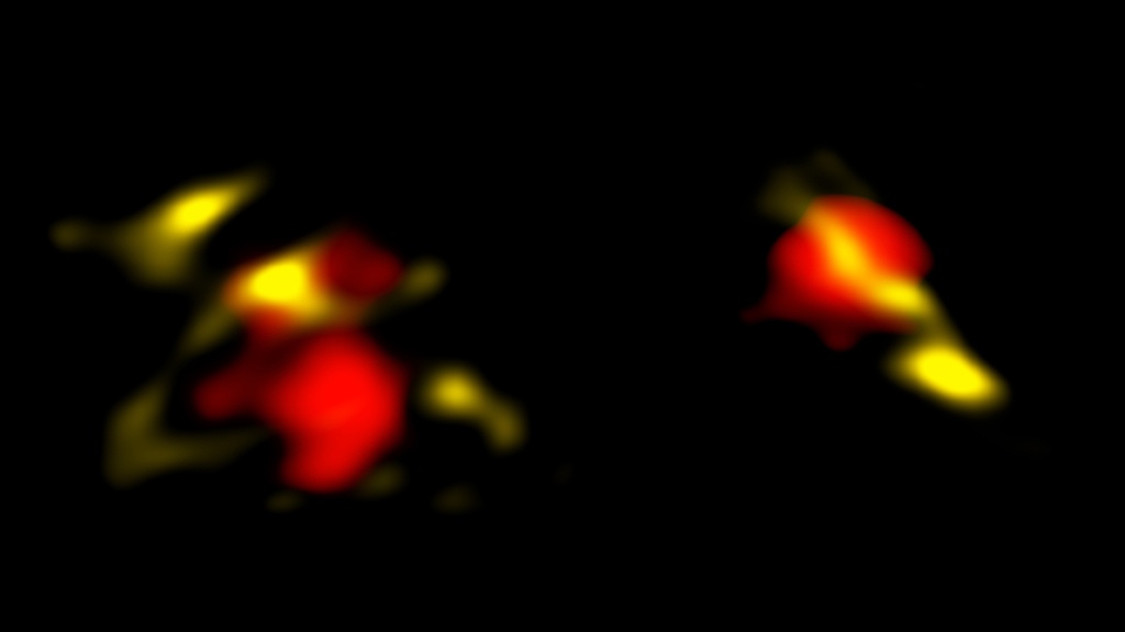 These are two of the galaxies in the early universe that ALMA observed in radio waves. The galaxies are considered more "mature" than "primordial" because they contain large amounts of dust (yellow). ALMA also revealed the gas (red), which is used to measure the obscured star-formation and motions in the galaxies.
Credit: B. Saxton NRAO/AUI/NSF, ALMA (ESO/NAOJ/NRAO), ALPINE team.