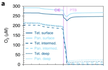 This figure from the study shows how the amount of dissolved oxygen in the oceans plunged rapidly in intermediate depths and in the deep ocean. The plunge wasn't so pronounced at the surface, where interaction with the atmosphere introduced oxygen into the ocean. The deoxygenation spelled doom for many species. Image Credit: Jurikova et al. 2020.
