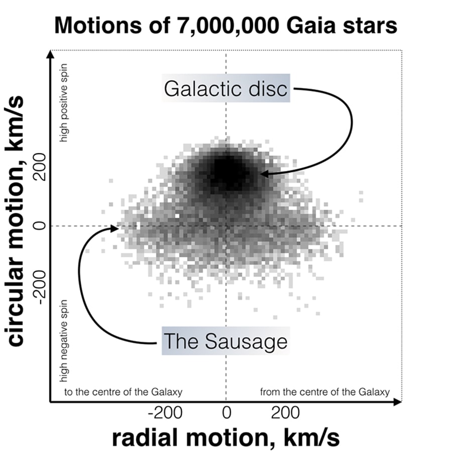 When looking at the distribution of star velocities in the Milky Way, the stars of the Sausage galaxy form a characteristic sausage-like shape. This unique shape is caused by the strong radial motions of the stars. As the sun lies in the center of this enormous cloud of stars, the distribution does not include the slowed-down stars currently making a U-turn back toward the galaxy’s center. Image Credit: Myeong et al., 2018.