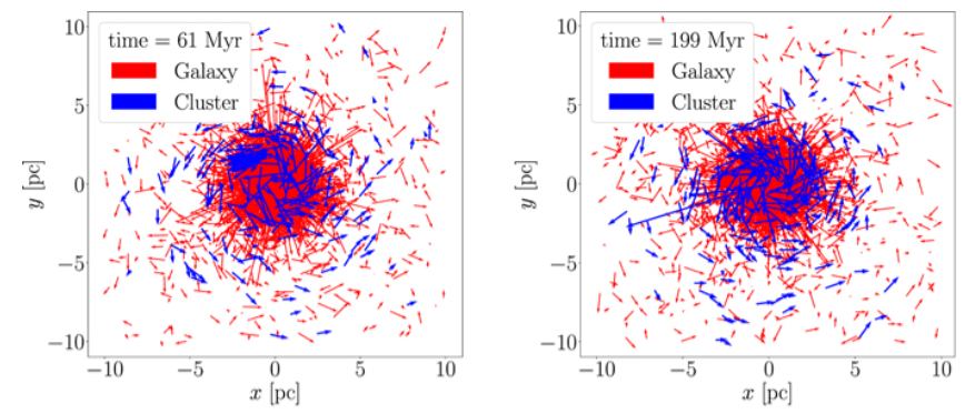 This figure from one of the three new studies shows the velocity vectors of 2% of the simulated stars, or about 21,000 stars, within a 5 parsec sphere centered on the galactic center. The left panel is the simulation at 61 million years, while the right panel is at 199 million years. The red lines represent the velocities and vectors of stars in the Nuclear Stellar Cluster, while blue lines represent those of the newly-identified Stellar Cluster. Before dissolution, the SC is clearly visible in the map in the form of a concentration in the top left region of the NC, and remains recognizable for at least 100 Myr after dissolution. Image Credit: Sedda et al, 2020.