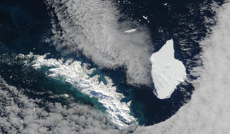 A satellite image of iceberg A38 near South Georgia Island in 2004. Its arrival was devastating for some local wildlife. Image Credit: NASA/GSFC/MODIS