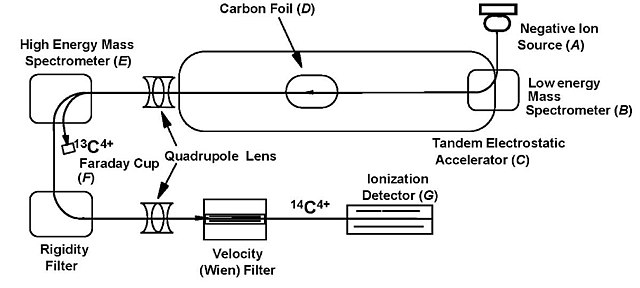 A simple schematic of an accelerator mass spectrometer. Due to their different weights, C13 and C14 are separated from each other and the C14 can be measured. Image Credit: By Hah; BioMed Central Ltd., CC BY 2.0, https://commons.wikimedia.org/w/index.php?curid=68194664
