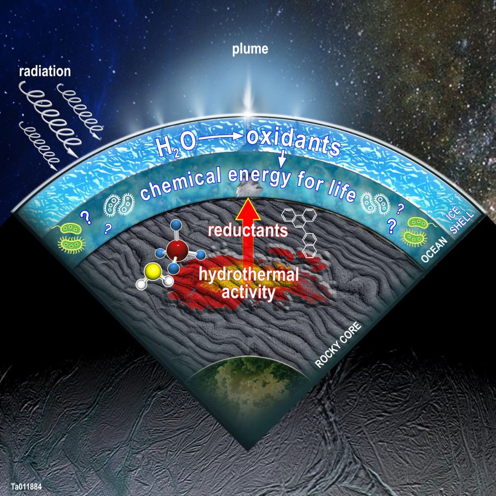 This figure illustrates a cross-section of Enceladus, showing a summary of the processes SwRI scientists modelled in the moon in a 2020 study. Oxidants produced in the surface ice when water molecules are broken apart by radiation can combine with reductants produced by hydrothermal activity and other water-rock reactions, creating an energy source for potential life in the ocean. Image Credit: SwRI