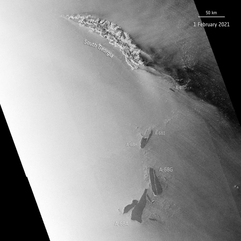 This February 1st satellite image shows cracks forming in the huge iceberg. Image Credit: ESA.