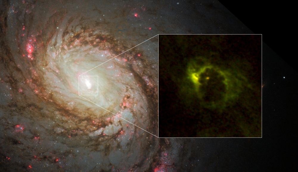 The central region of the spiral galaxy M77. The NASA/ESA Hubble Space Telescope imaged the distribution of stars. ALMA revealed the distribution of gas in the very center of the galaxy. ALMA imaged a horseshoe-like structure with a radius of 700 light-years and a central compact component with a radius of 20 light-years. The latter is the gaseous torus around the AGN. Image Credit: ALMA (ESO/NAOJ/NRAO), Imanishi et al., NASA/ESA Hubble Space Telescope and A. van der Hoeven