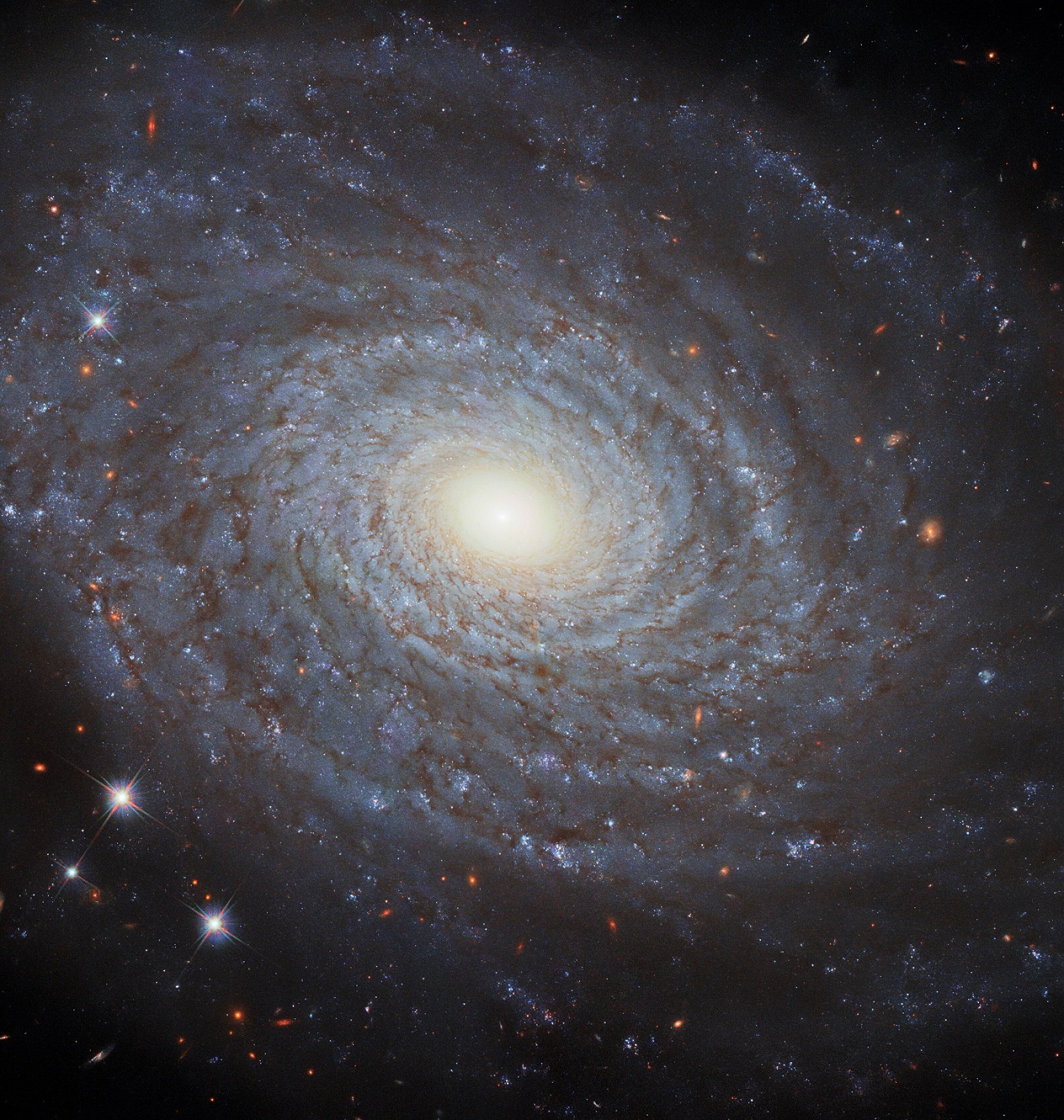 Time to Update Your Desktop Wallpaper With This Perfect Spiral Galaxy