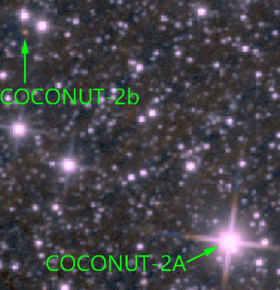 Different spectra of the Coconut 2 system.