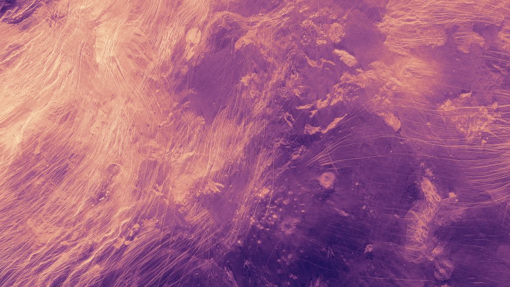 This false colour image of lowlands on Venus' surface shows fine, light lines that are likely tectonic in nature. The darker areas are smooth volcanic plains. The image is a mosaic made of radar data from NASA's Magellan mission. The area in the image is about 1,400 km (870 miles) across. Image Credit: NASA.
