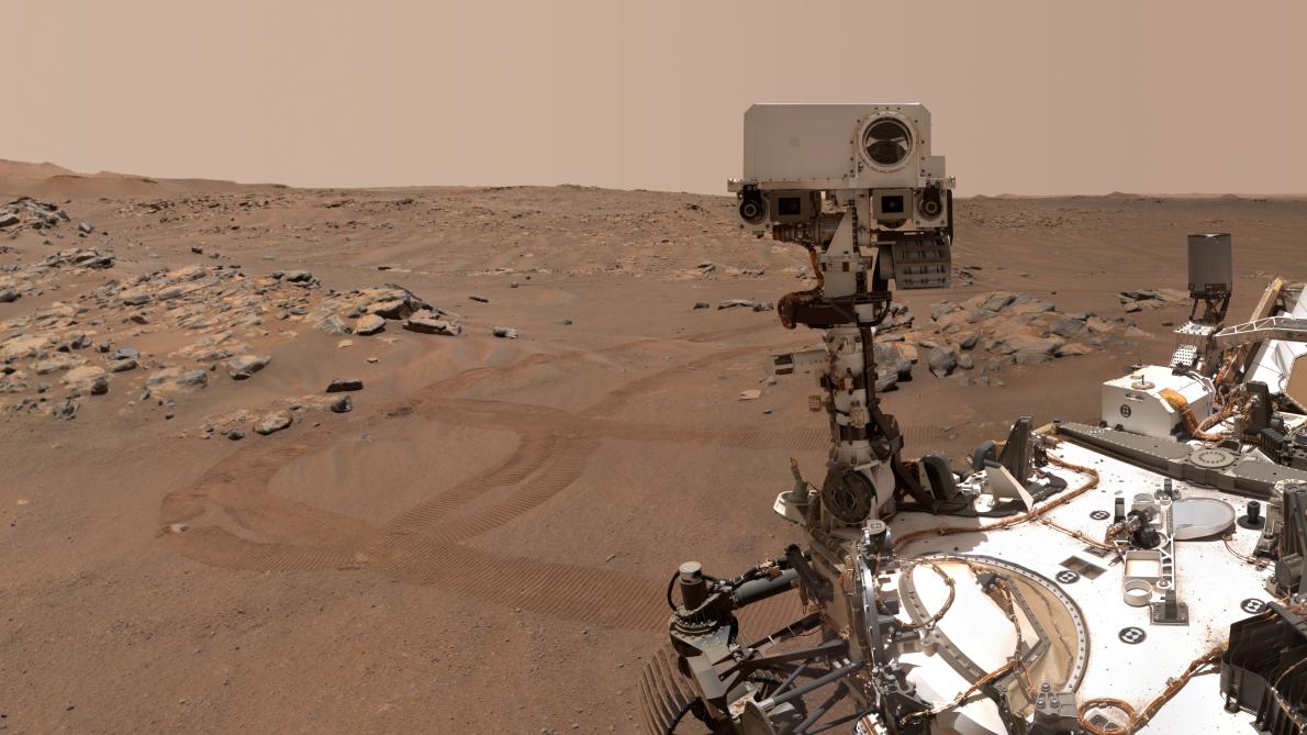 Is That a Fossil on Mars? Non-Biological Deposits can Mimic Organic Structures