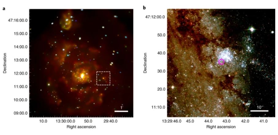 This figure from the study shows the region containing the x-ray binary named M51-ULS-1. On the left is a stacked image from Chandra's Advanced CCD Imaging Spectrometer. On the right is a Hubble image of the area in the white square in the Chandra image. The pink circle is the x-ray source M51-ULS-1. Image Credit: Di Stefano et al 2021. 